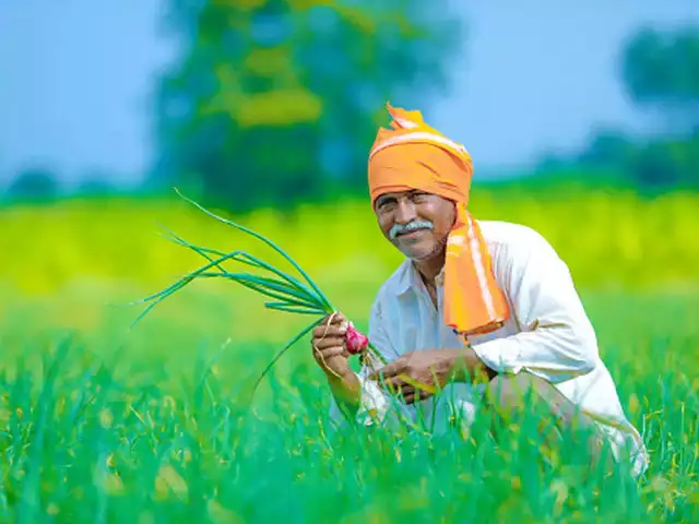 Palamoor Seeds